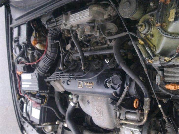 Honda Accord 2.2 exri billede 9