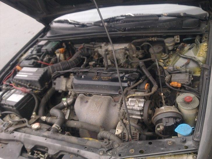 Honda Accord 2.2 exri billede 10