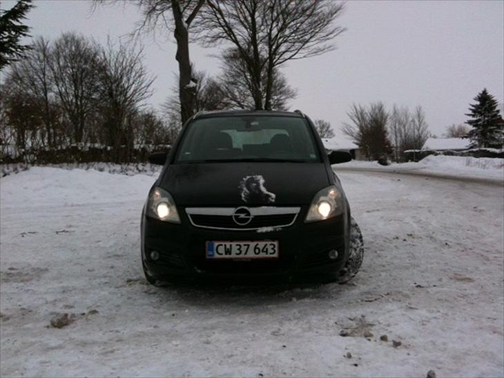 {{currentPhoto.altText}} billede {{currentPhoto.number}}