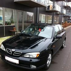 Nissan Primera  (SOLGT)