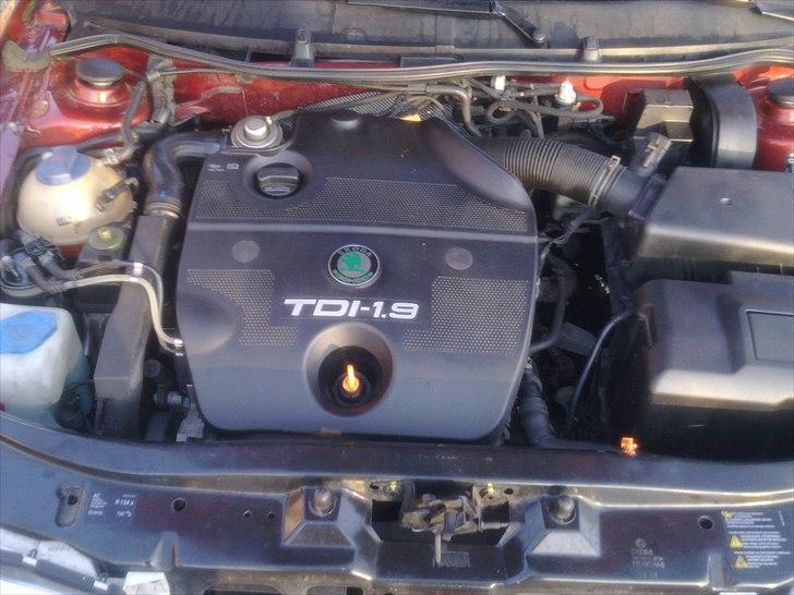 Skoda octavia TDI billede 3