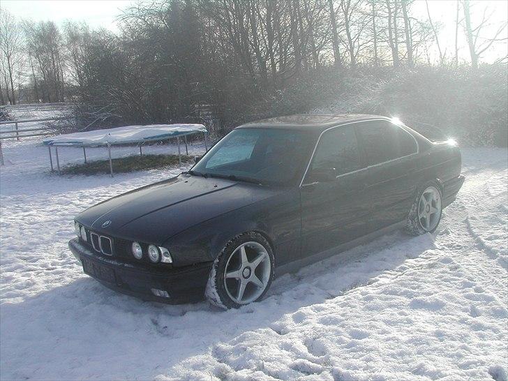 BMW 520i billede 2