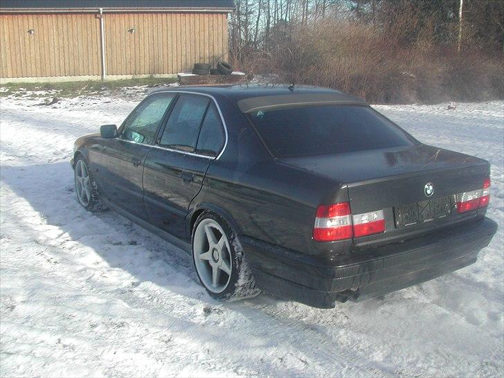 BMW 520i billede 8