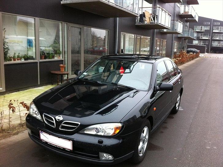 Nissan Primera  (SOLGT) billede 1