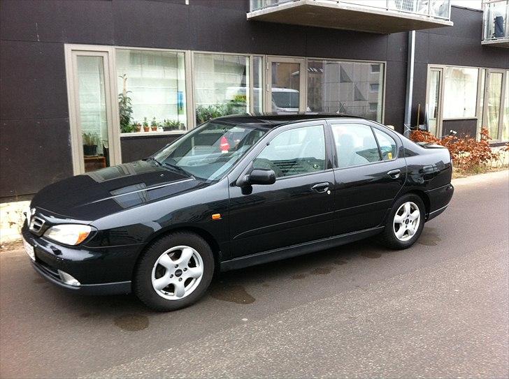 Nissan Primera  (SOLGT) billede 2