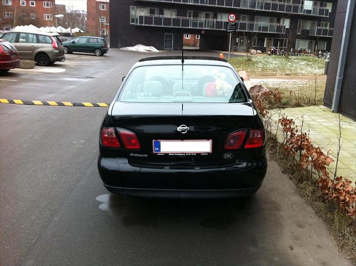 Nissan Primera  (SOLGT) billede 4