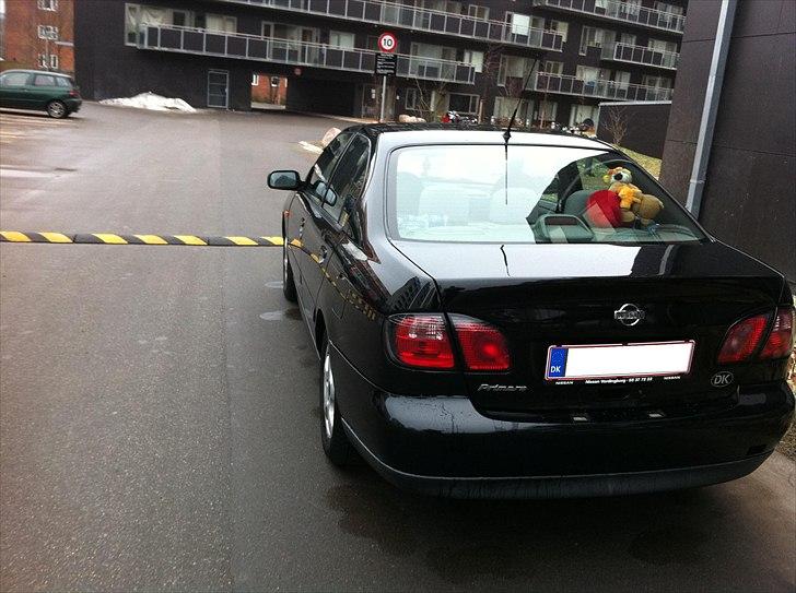 Nissan Primera  (SOLGT) billede 5