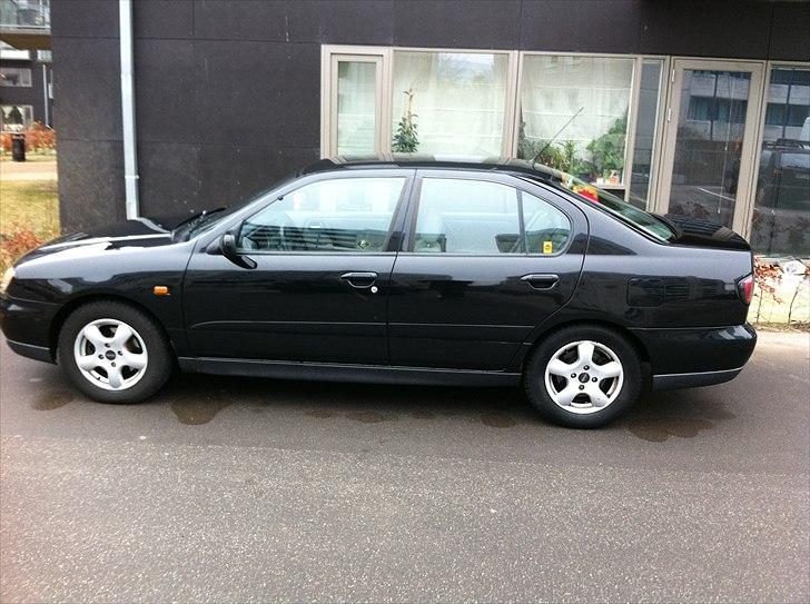 Nissan Primera  (SOLGT) billede 7