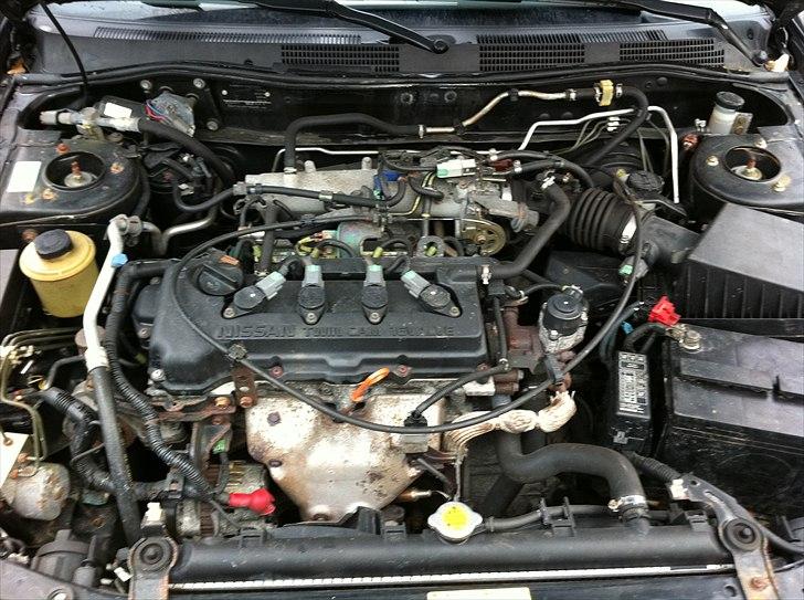 Nissan Primera  (SOLGT) billede 11