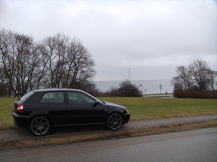 Audi A3 1,8T billede 1