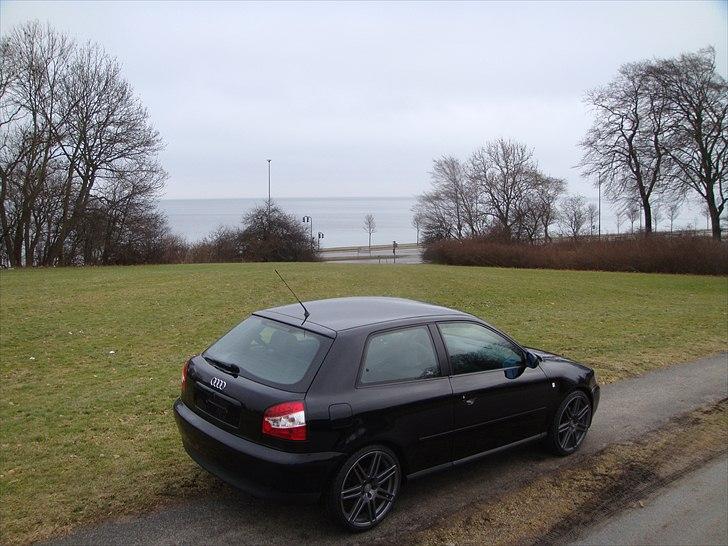 Audi A3 1,8T billede 16