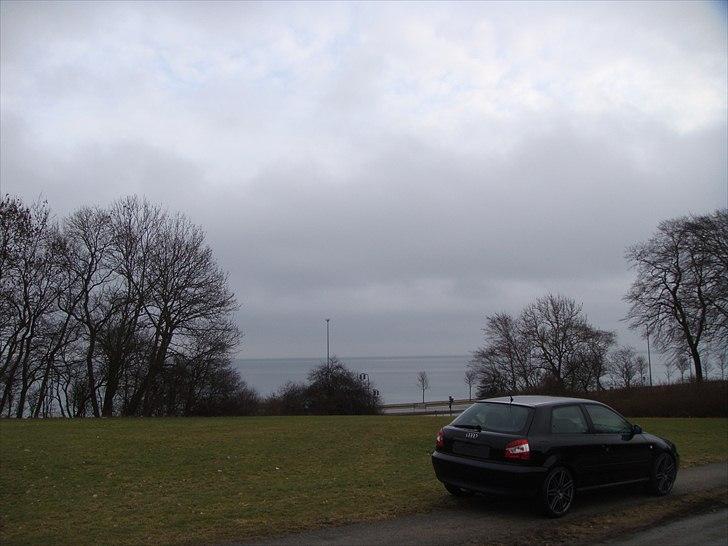 Audi A3 1,8T billede 18