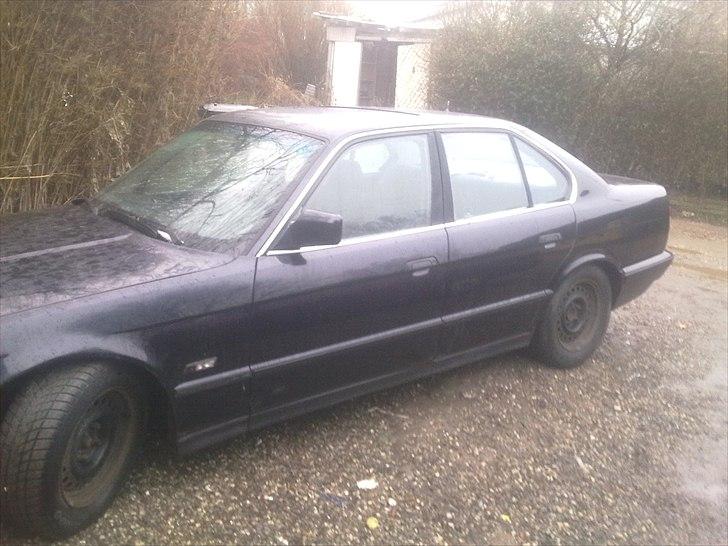 BMW e34 2.5 12v billede 3