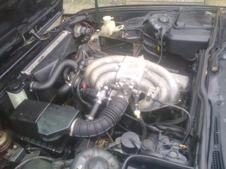 BMW e34 2.5 12v billede 5