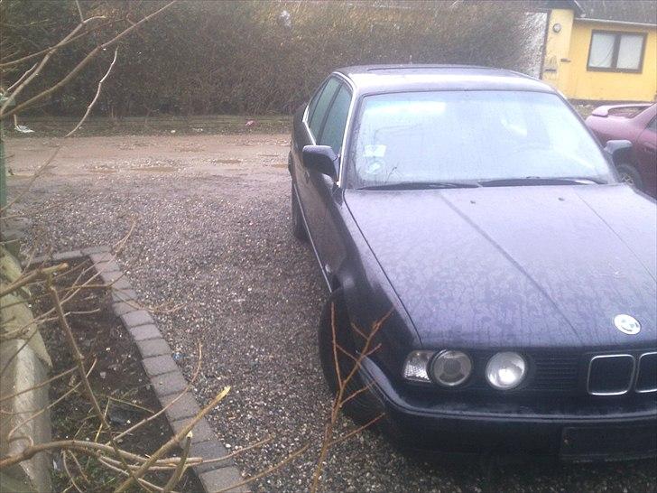 BMW e34 2.5 12v billede 6