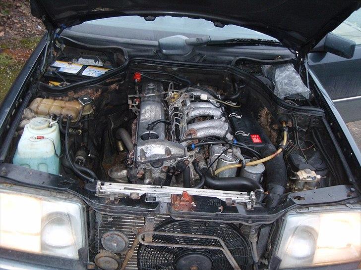 Mercedes Benz 300 d 124 billede 9