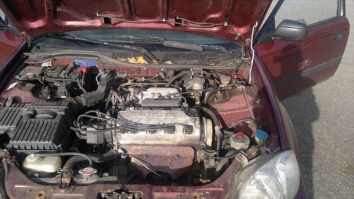 Honda civic 1,5 ils billede 7