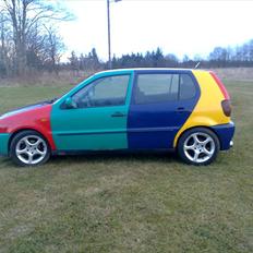 VW Polo 6N Harlekin (SOLGT)