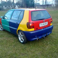 VW Polo 6N Harlekin (SOLGT)