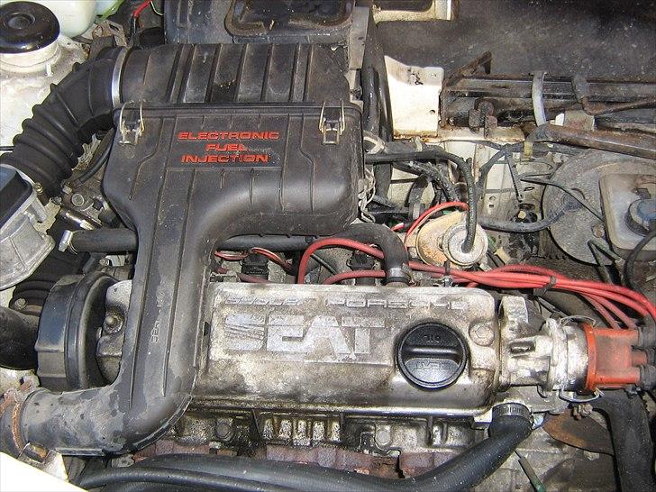 Seat Ibiza billede 6