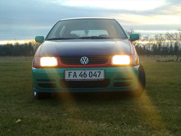 VW Polo 6N Harlekin (SOLGT) billede 6