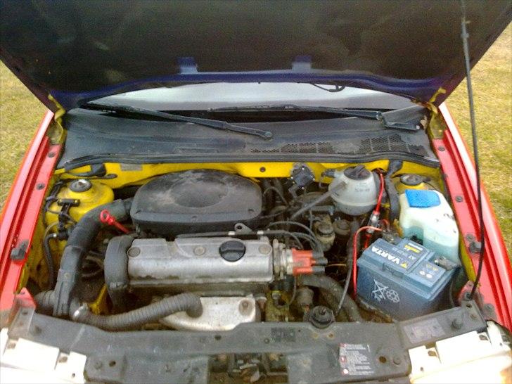 VW Polo 6N Harlekin (SOLGT) billede 7