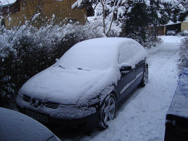 Seat Leon TDI Signo billede 19
