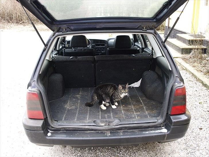 VW Golf Variant 1,8 CL billede 5