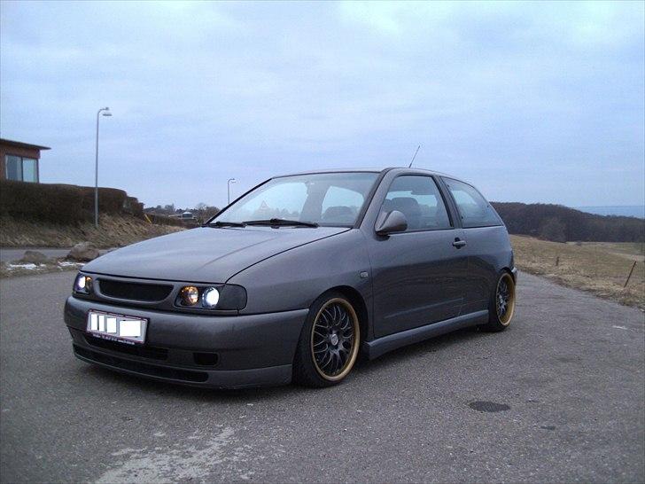 Seat Ibiza billede 1