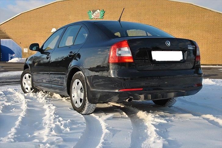 Skoda Octavia Greenline billede 4