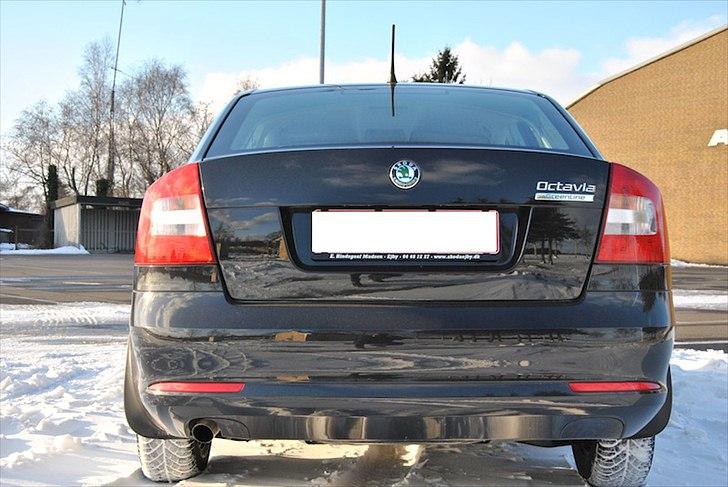 Skoda Octavia Greenline billede 5