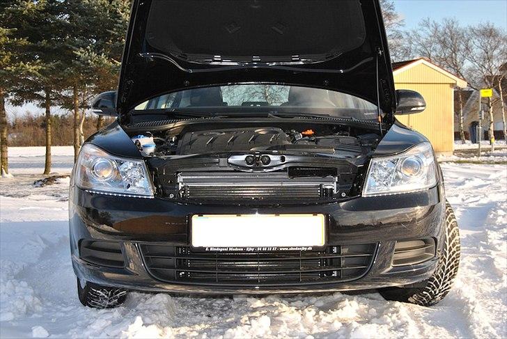 Skoda Octavia Greenline billede 10