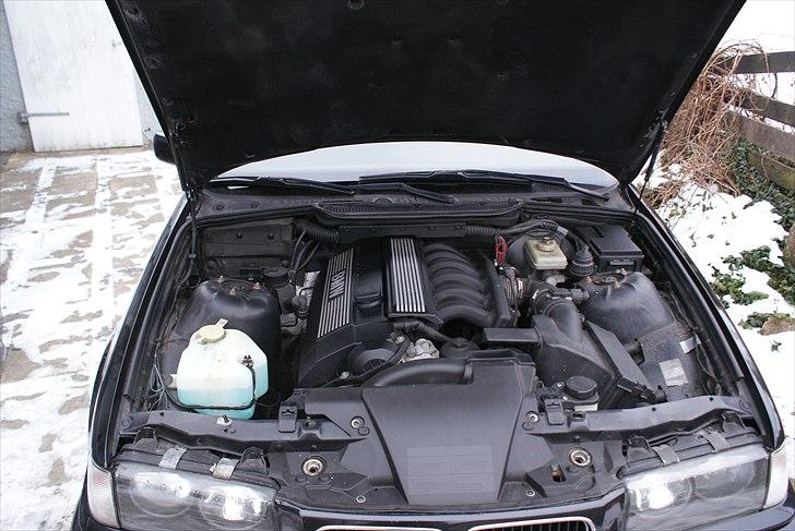BMW E36 323i/328i 24v billede 16