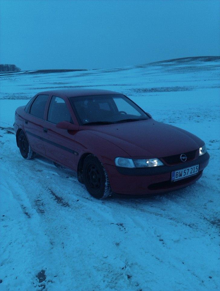 Opel Vectra b 1,6 16v billede 1