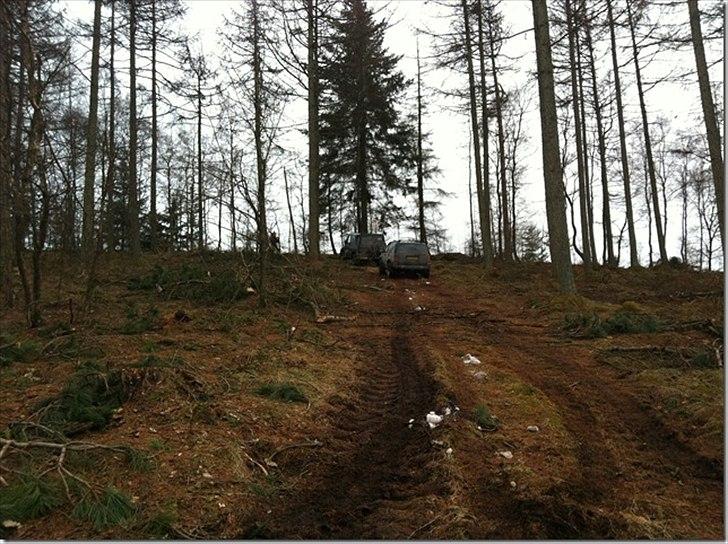 Mercedes Benz gelandewagen billede 7