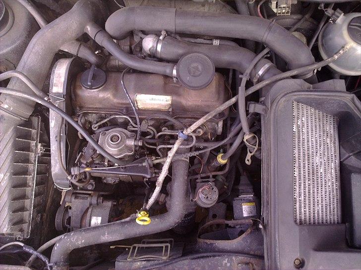 VW Golf 2 Gtd Økoraceren billede 15