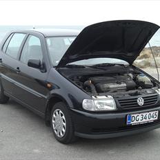 VW Polo 6n