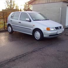 VW Polo 6n ~BetteDora~