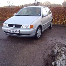 VW Polo 6n ~BetteDora~