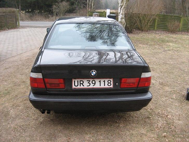 BMW 525i (Byttet) billede 10
