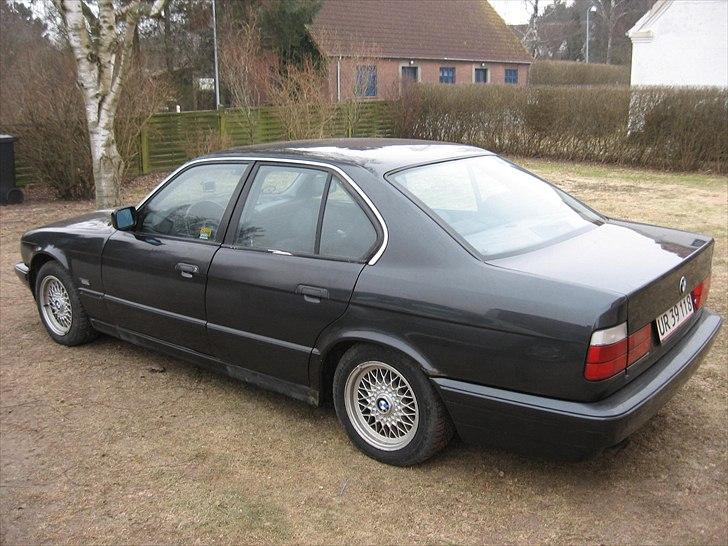 BMW 525i (Byttet) billede 11