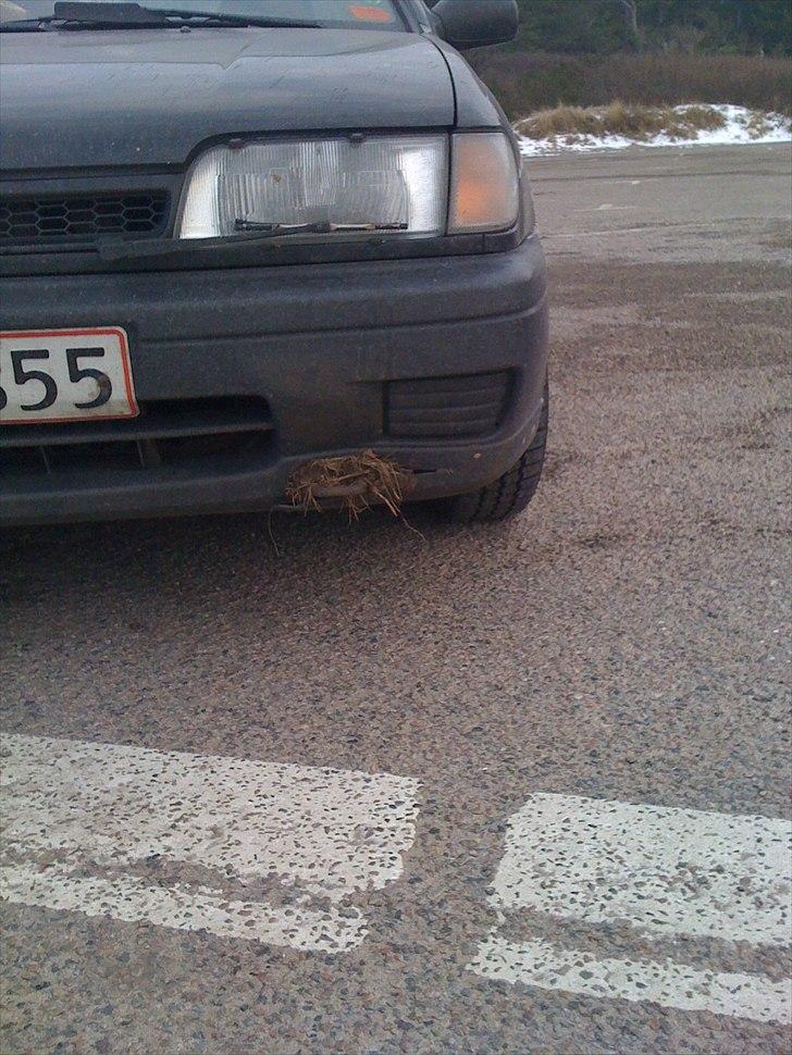 Nissan Sunny LX 1,4 Twin Cam (Skrottet) :'( - Så Fik Jeg Lavet Min Først Bule På Sunny :P billede 15