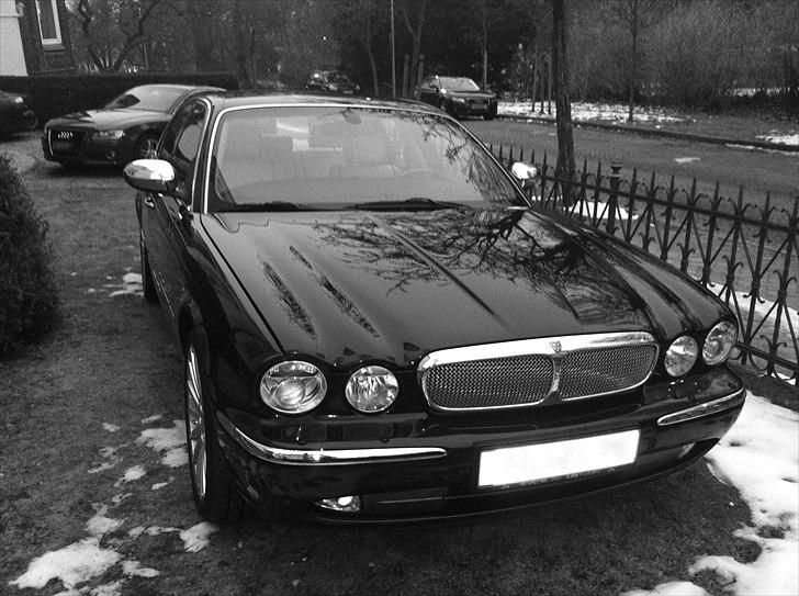 Jaguar XJR8 V8 SuperCharged billede 5
