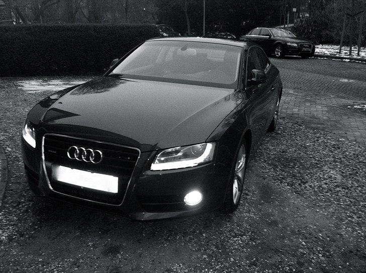 Audi A5 Coupe 3.0 TDI Quattro billede 2