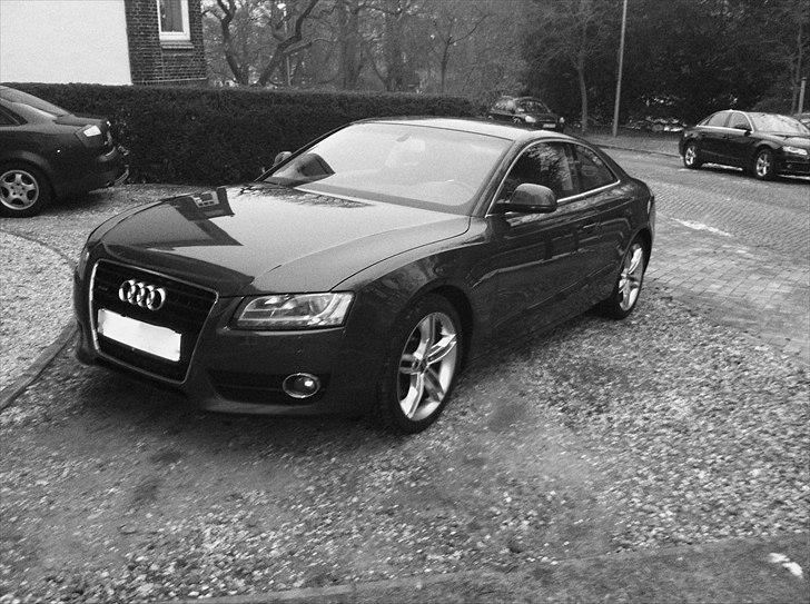 Audi A5 Coupe 3.0 TDI Quattro billede 3