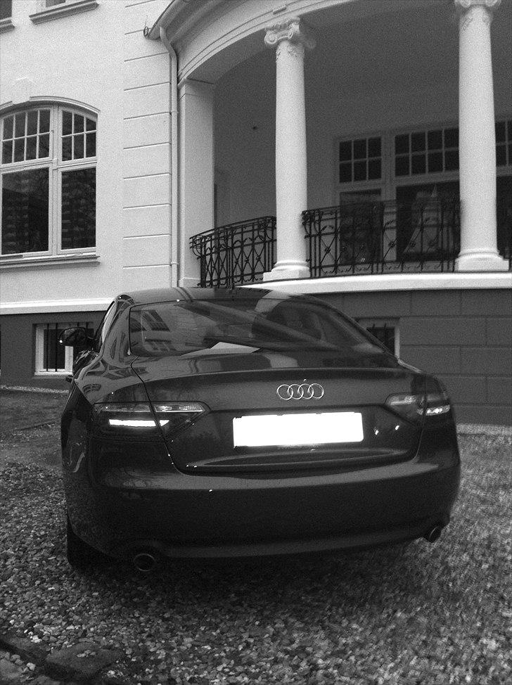 Audi A5 Coupe 3.0 TDI Quattro billede 4