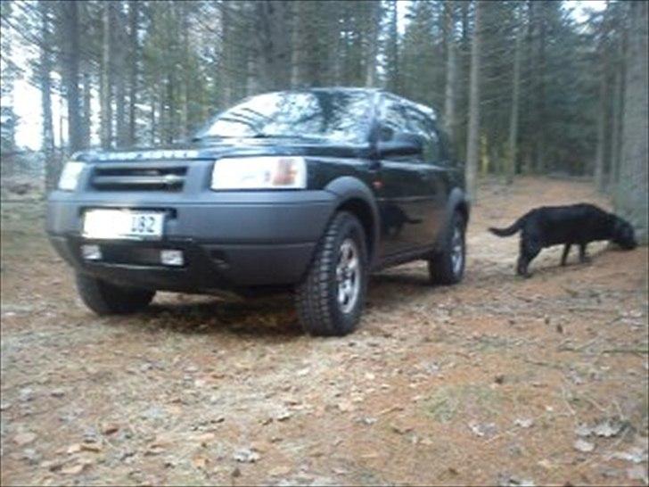 Land Rover freelander billede 15