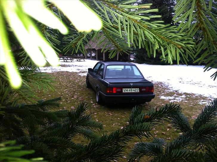 BMW e30 billede 13