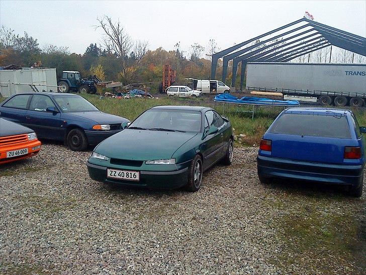 Opel Calibra billede 2