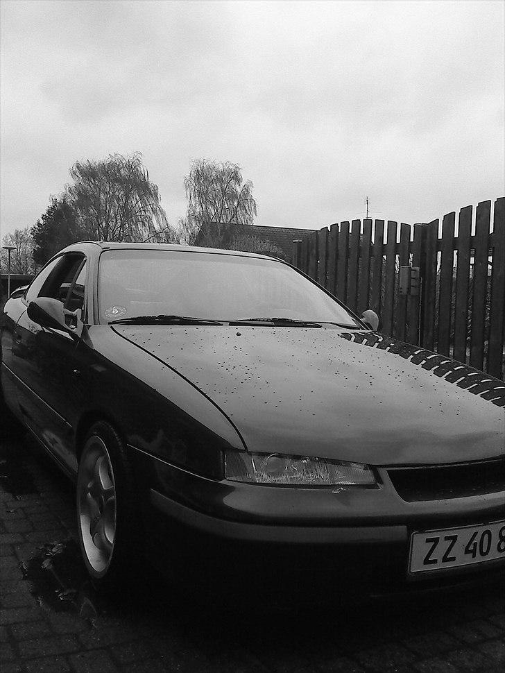 Opel Calibra billede 6